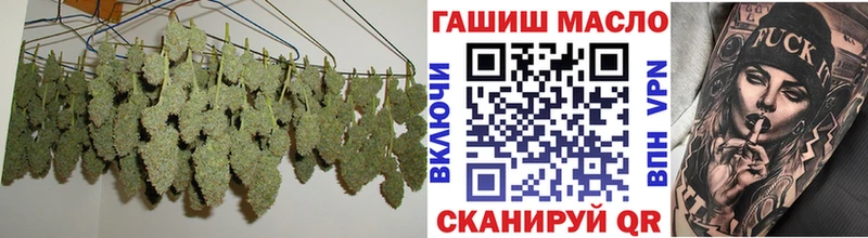 Купить закладки  Петровск  Дистиллят ТГК концентрат 