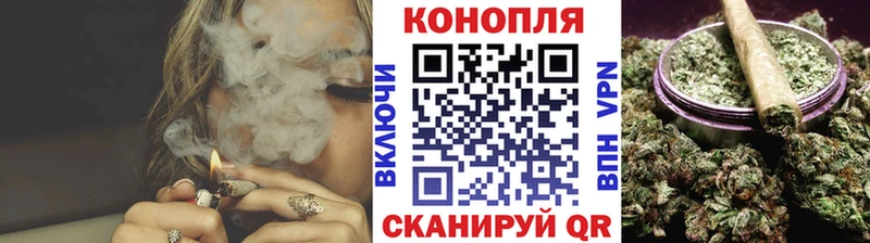 Конопля семена  Купить где  Петровск 